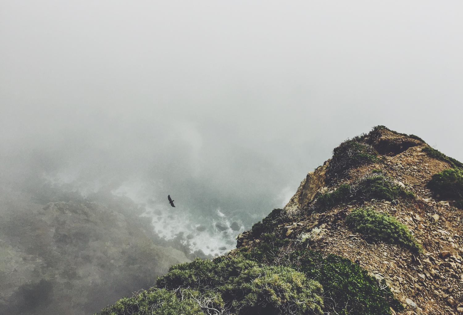 Aspernatur Repellat Illo Sed Eveniet.