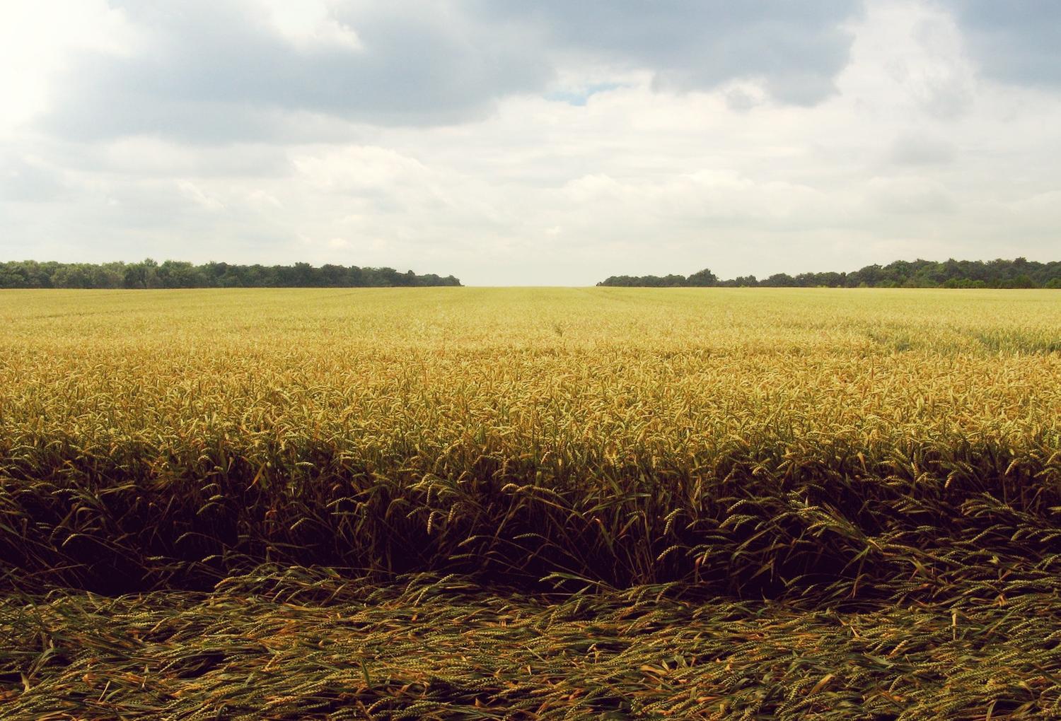 Aspernatur Repellat Illo Sed Eveniet.