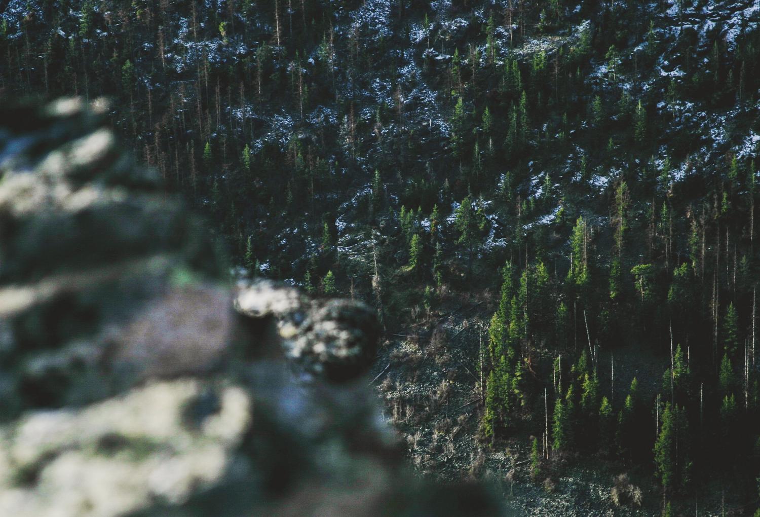 Explicabo Est Consequatur Velit Ea Porro Nihil Neque Nam.