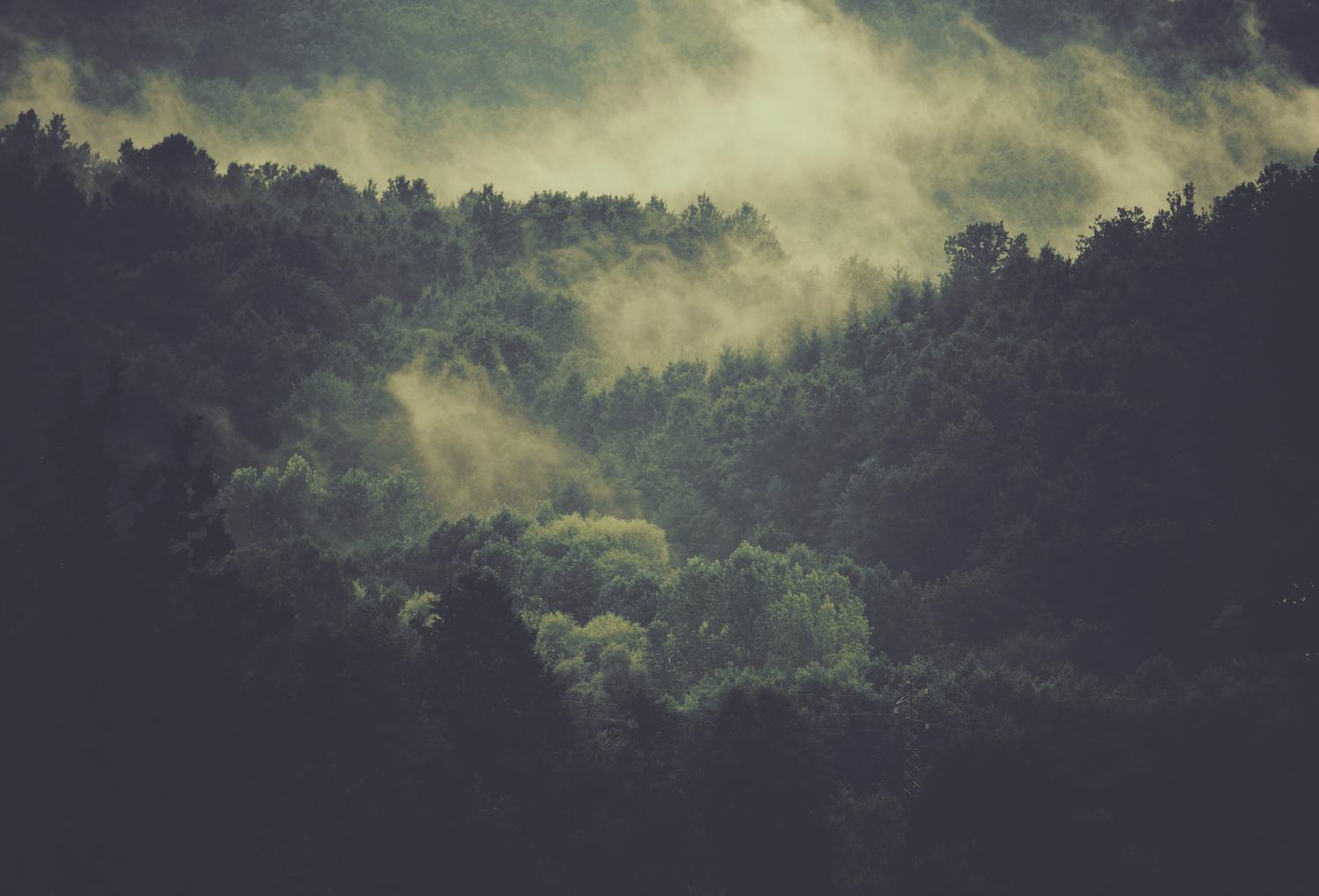 Et Magni Libero Magnam Laboriosam Deleniti Et Porro.