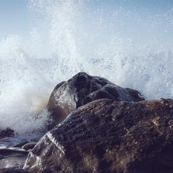 Gleichner, Bode And Wisoky